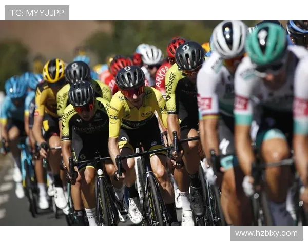 15年环法自行车赛（2010环法自行车赛）sports